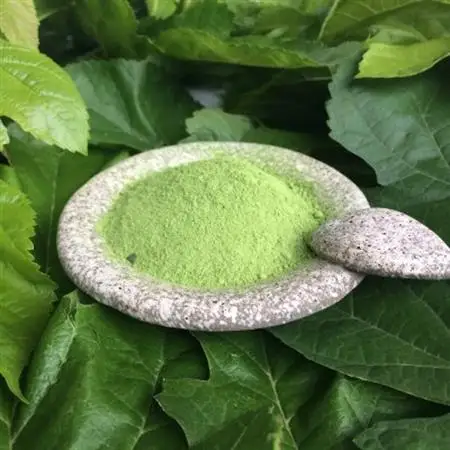 【ぐんまの桑茶】パウダータイプ・緑茶タイプ・ほうじ茶タイプ　ギフトセット【1346070】