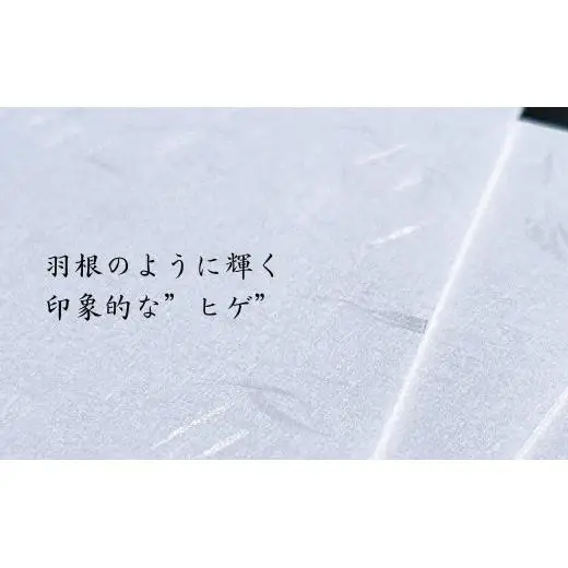 伊予和紙封筒100枚【月華 白】
