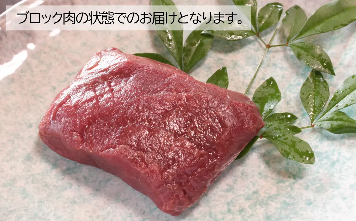 大月市内で肥育【赤身馬刺し】モモ　300g以上（ブロック×1～3個）【1087-029】