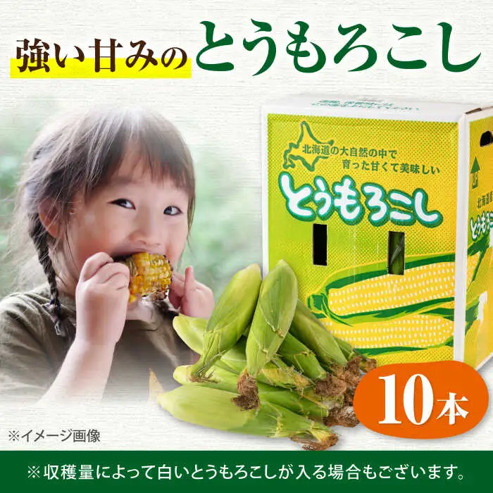 【先行予約】朝採れとうもろこし 10本 [AJAH025] とうもろこし