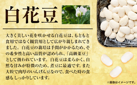 北海道産 白花豆ようかん JA浦幌町 十勝 特産 羊羹 和菓子 スイーツ 豆