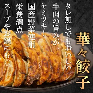 牛肉100％の餃子　華永の華々餃子×かぼす餃子　14個入り各1パック A07004