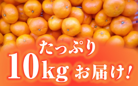 【24年1月限定発送】 対馬 つつ みかん 10kg  長崎 豆酘みかん ミカン 柑橘  [WBM005]