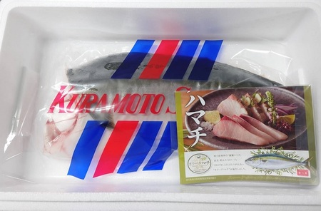 オリーブハマチ　冷凍　カマ・鱗付き半身１枚　約1.5kg（原体4.6kg）【A-107】【予約受付：令和8年11月頃よりご用意でき次第発送！】