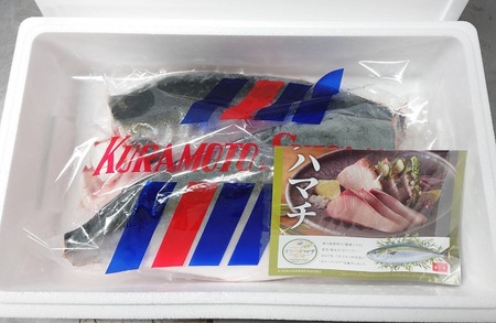 オリーブハマチ　冷凍　カマ・鱗付き半身２枚　約3kg（原体4.6kg）【B-55】【予約受付：令和8年11月頃よりご用意でき次第発送！】