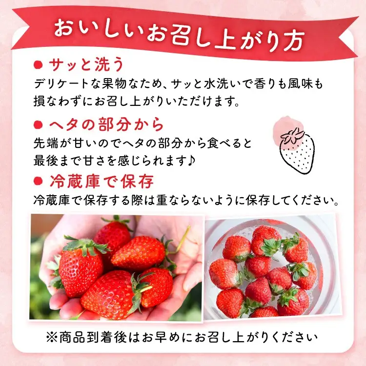 【先行予約】とちおとめ320g×2パック 3Lサイズ いちご アフター対応あり いちご ※2027年1月～発送