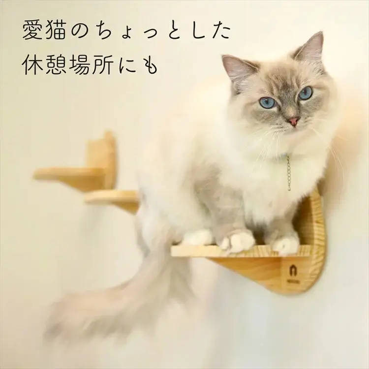 壁掛け 猫顔キャットステップ ２個 セット ： NEKOIRI キャットステップ 猫用品 ペット用品
