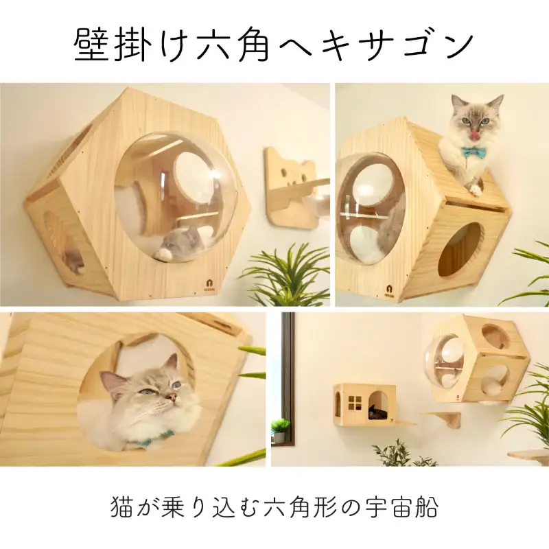 壁掛け 猫ハウス NEKOIRI ： 猫ハウス 壁掛け ペット用品