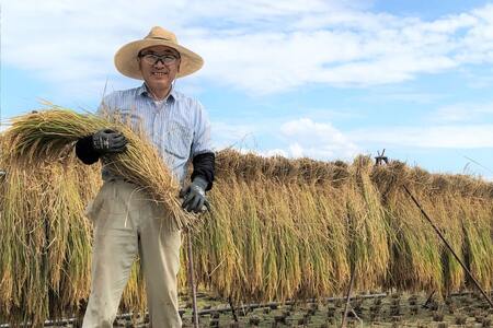 6回 定期便 米 令和7年産 白米 ゆうだい21 5kg×6回 計30kg
