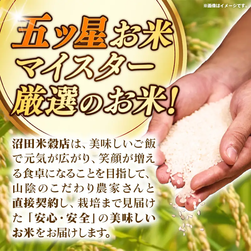 【定期便】五ツ星お米マイスター厳選 能義平野のきぬむすめ 3kg×6ヵ月 【令和7年産 ３KG 6ヶ月 毎月 計18kg 精米 白米 ご飯 お米 美味しい 安心 安全 沼田米穀店 島根県 安来市】【価格変更X】【39-NB-09】