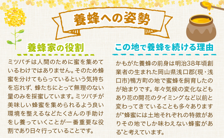 はちみつ 蜂蜜 百花 600g 2本 かもがた養蜂 《30日以内に出荷予定(土日祝除く)》 岡山県 浅口市 送料無料 ハチミツ 百花蜜 百花はちみつ 岡山県産