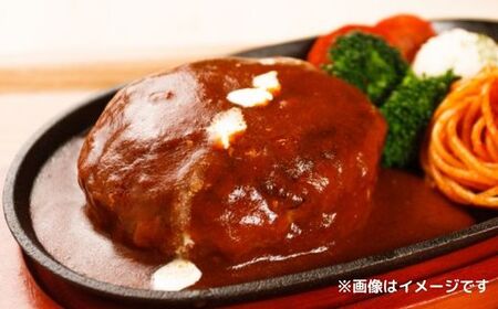 A5 飛騨牛 100％使用 ひき肉 500g 挽肉 ミンチ ハンバーグ の種
