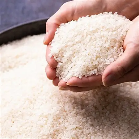 青森県黒石産　寿司専米「ムツニシキ」5kg×2袋　計10kg_ 精米 米     米 こめ コメ_【1122672】
