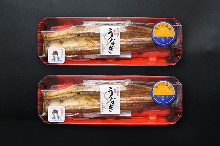 【数量限定】 霞ヶ浦産天然うなぎ 蒲焼き 2尾（100～130g×2） 国産 天然 真空パック 真空 パック たれ タレ 冷凍 茨城県産 かば焼き 蒲焼 国産うなぎ 国産ウナギ 国産鰻 国産天然うなぎ 国産天然ウナギ 国産天然鰻 内祝い ギフト プレゼント お祝い ご褒美 土用の丑の日 おいしい 簡単 霞ケ浦 49-B
