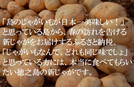 《今が旬！》福祉作業所の仕事にもつながる！徳之島の“新”じゃがいも（5kg）( バレイショ 野菜 旬 春 徳之島 奄美 鹿児島 肉じゃが カレー じゃがバター 美味しい 人気 オススメ )