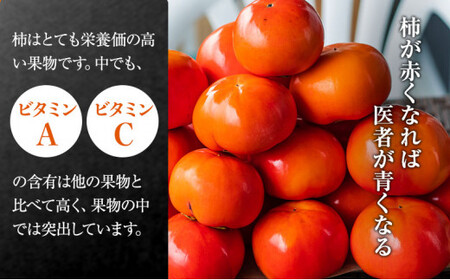 【先行予約】富有柿 贈答用  2L×12個【富有柿の発祥の地 瑞穂市！！】※2026年11月～発送