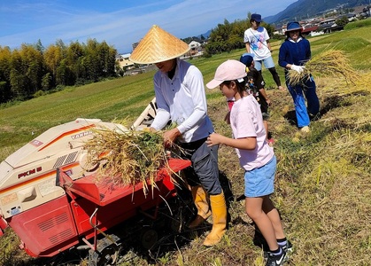 令和7年産 玄米 自然栽培米 亀岡産コシヒカリ 玄米 5kg