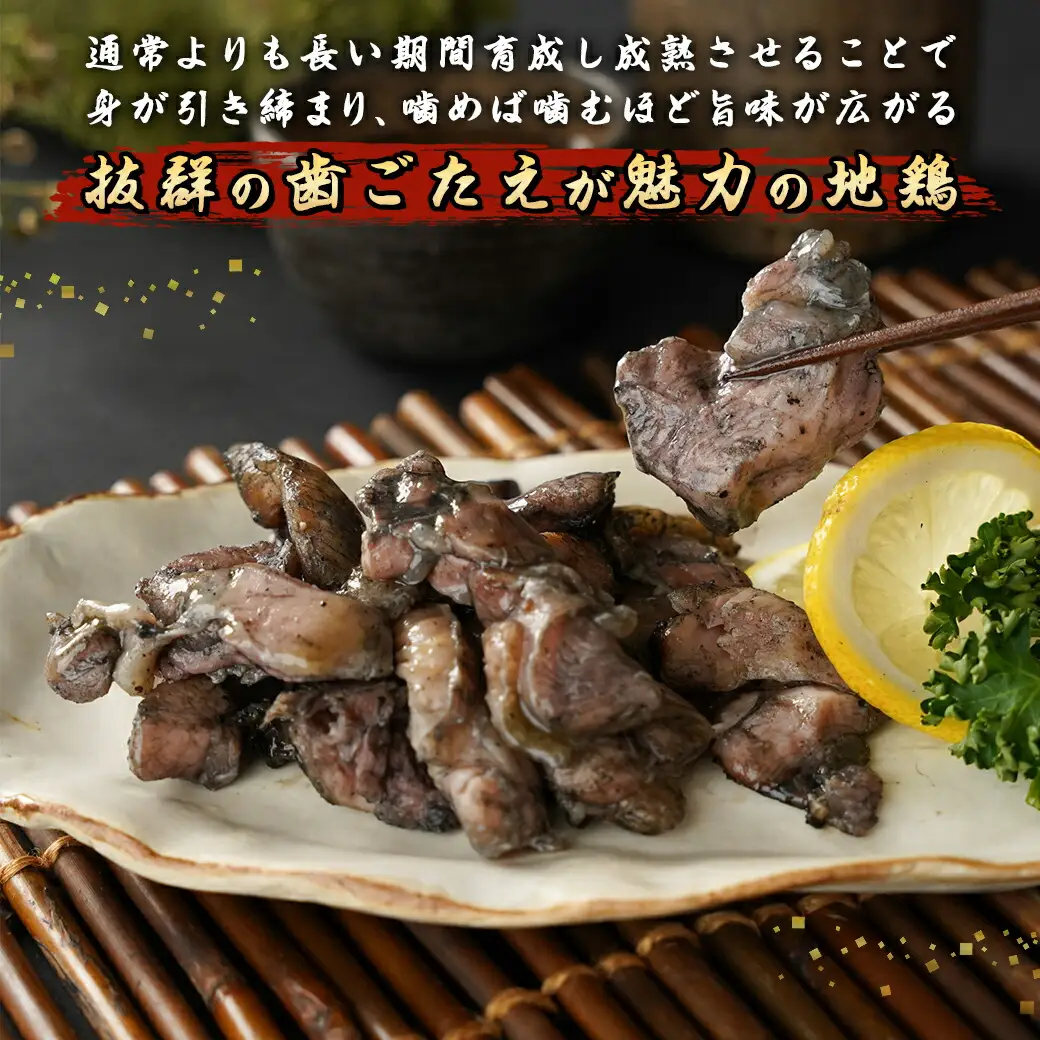 「宮崎山地鶏 」炭火焼 100g×5袋〔MJ-7809〕_(都城市) 地鶏 成熟 歯ごたえ やみつき 瞬間冷凍