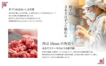 【3ヶ月定期便】バリスの冷凍餃子【4人前】 ※着日指定不可