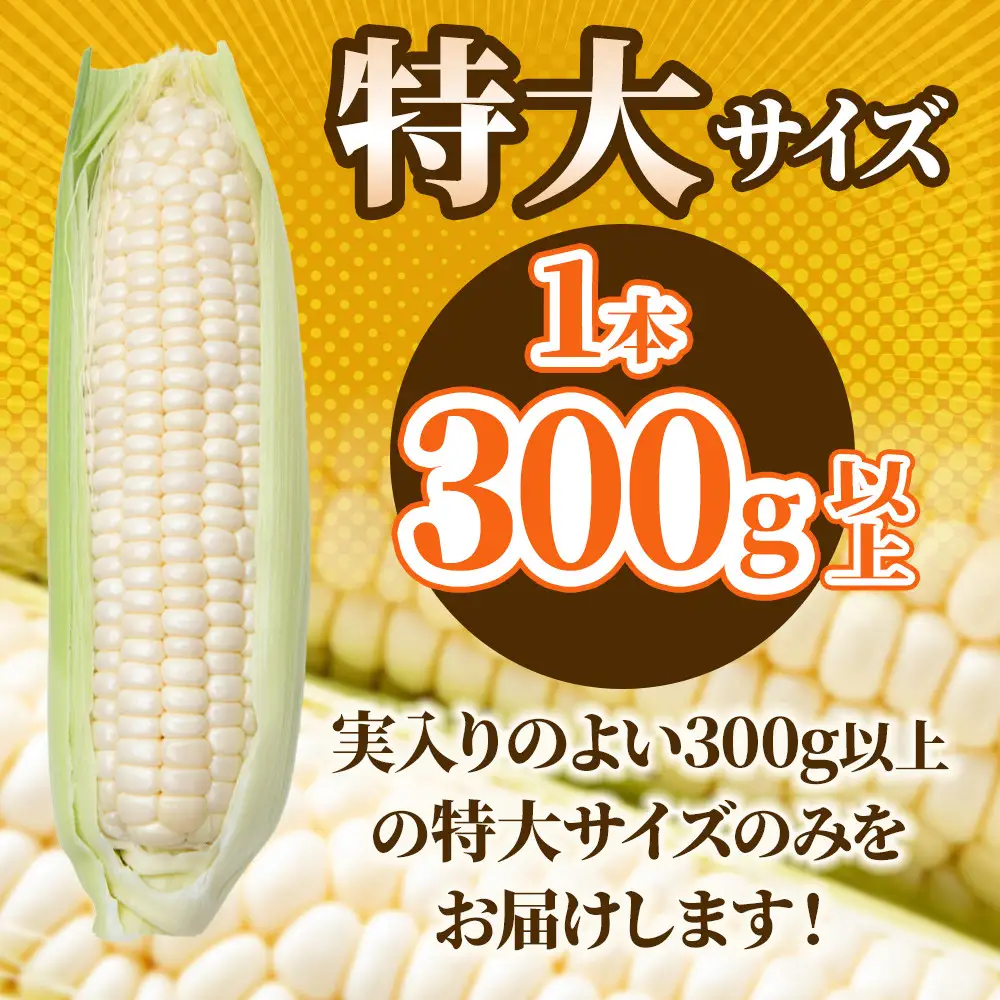 【2026年先行予約】とうもろこしコラボセット!　ピュアホワイト5本×ゴールドラッシュ5本（2026年8月下旬から発送開始）とうもろこし _03648