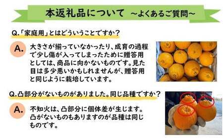 ≪ご家庭用≫ 不知火 約3kg | 果物 くだもの みかん フルーツ 柑橘類 柑橘 デコポン 熊本県 玉名市