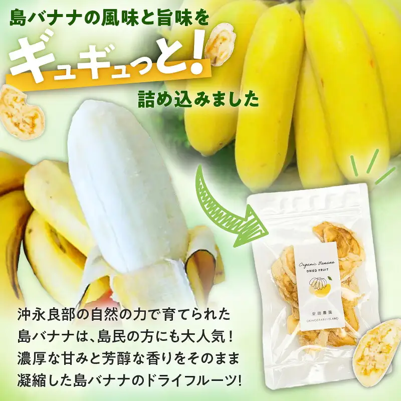 【先行受付】島バナナ農家が本気で作る完全自然栽培の島バナナドライフルーツ30g×2袋（7月中旬～10月中旬頃発送） W029-010u バナナ 加工品