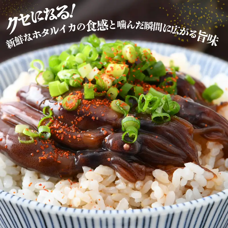 ホタルイカ沖漬け 120g × 5パック 福井の網元漁師「福丸」が厳選！ [e15-a008]