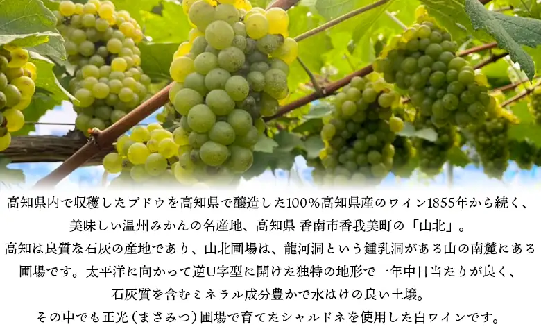 高知県産ワイン tosa cavatina 正光園シャルドネ2026 (750ml×1本) - 白 辛口 お酒 さけ アルコール ボトル 瓶 ギフト 送料無料 高知県 香南市 冷蔵 iw-0008