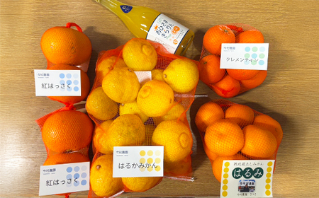 みかん4種 (計約8kg) と おひさまきらりん 生搾り100%ジュース セット【今村農園】 果物 期間限定 数量限定 九州 ＜107-041＞