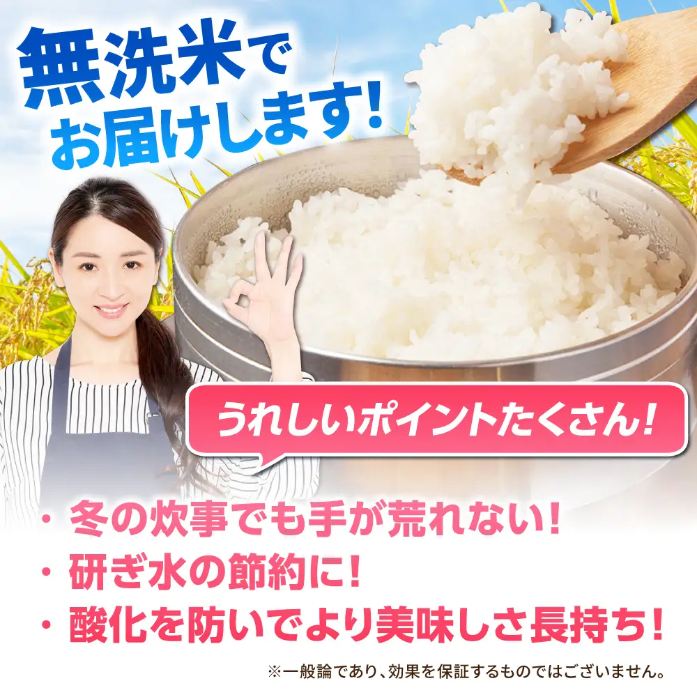 佐賀県産米 さがびより無洗米 3kg 無洗米 米 お米 ブランド米 国産米[FCW025]