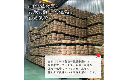 滋賀県産　琵琶湖宝石米　30kg　5kg×6袋 H-A03 中川吉兵衛商店