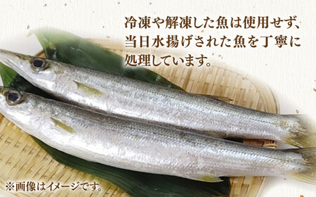 地魚 田舎干物セット 5種《壱岐市》【魚助】 干物 ひもの 海産物 朝食 海鮮 アジ あじ カマス イワシ アジの開き [JFX005] 九州