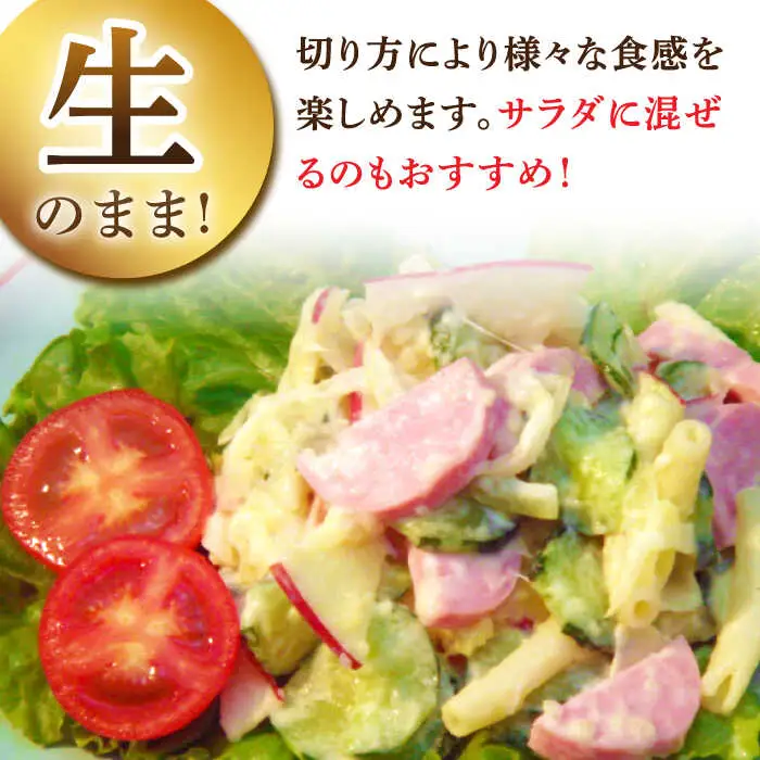 【6回定期便】宮地ハムのロングセラー ボロニアソーセージ 100g×6本 /宮地ハム [UBM012] ソーセージ