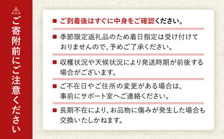 いちご「ゆめのか」4P / イチゴ 苺 いちご ゆめのか 果物 くだもの フルーツ ふるーつ / 大村市 / 産直松吉[ACZC005]