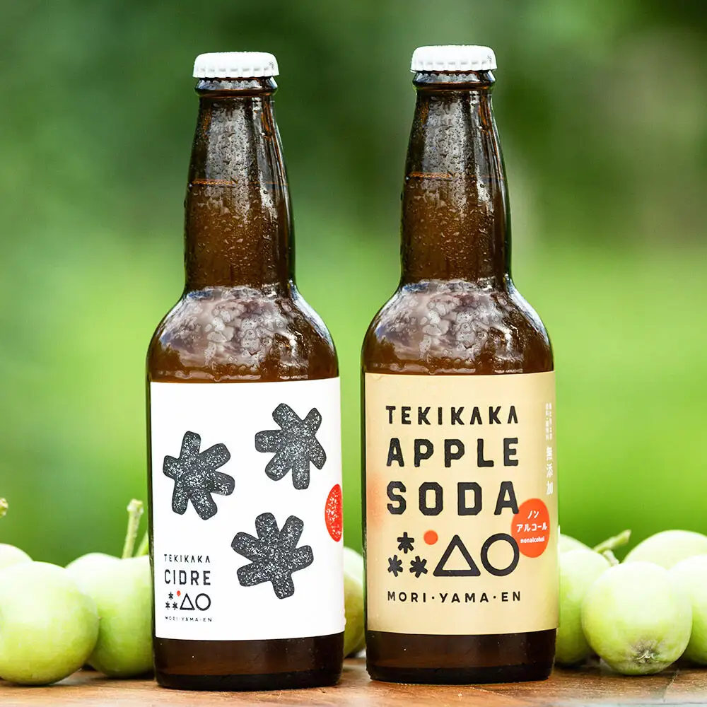 摘果りんごのシードルとノンアルセット テキカカシードル ＆ アップルソーダ 各330ml×3本 計6本 お酒 青森 弘前 林檎 リンゴ