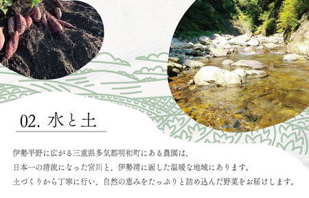 宮殿の厨房野菜 おまかせ定期便 （3回） 六月農園 野菜 セット 産地直送 おまかせ 季節の野菜 旬 詰め合わせ 人気 限定 有機栽培 オーガニック 明和町 国産 リピート 定期便