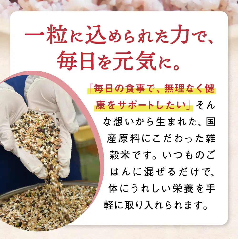 【ふるなびWEEK対象】 雑穀米 十五穀米 200g 雑穀米