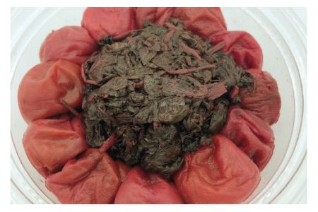漬物クラブ 手作り赤しそ梅干し 170g×2個 [やくらい土産センター 宮城県 加美町 44581301] 44581301