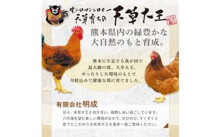 FKK19-179_天草大王　地鶏鍋セット(2～3人前) 熊本県 嘉島町