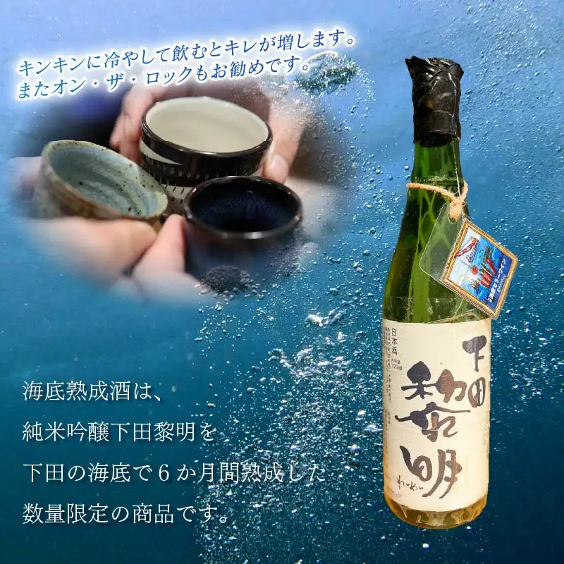 日本酒 海底熟成 地酒 純米吟醸 呑みくらべセット 黎明 下田