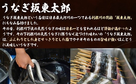 坂東太郎鰻の鰻蒲焼 小3枚