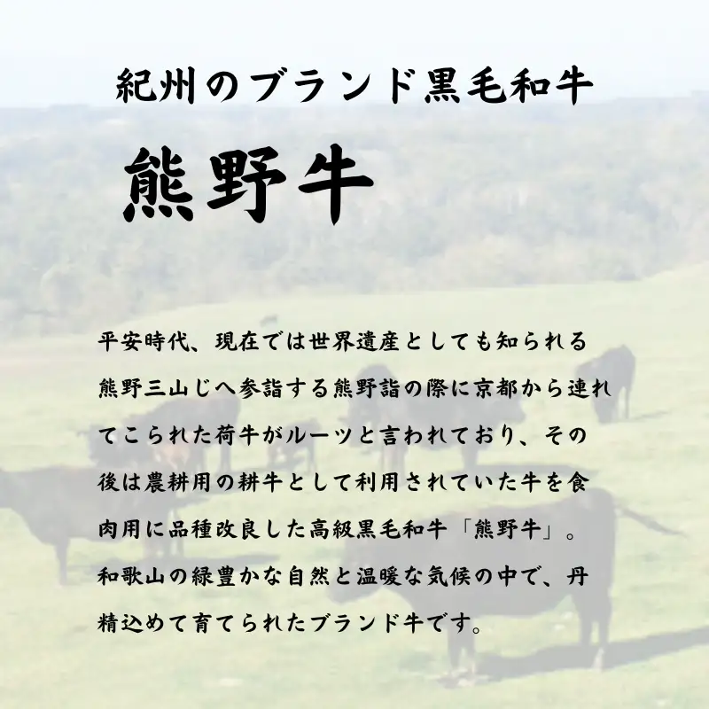熊野牛A4以上シャトーブリアン約200g＆赤身こま切れ約300g【Z91051-uot745】