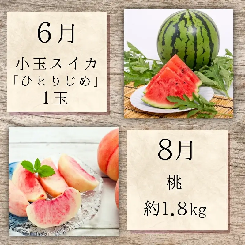 【2・4・6・8・10・12月 偶数固定月発送 全6回】和歌山産 旬のフルーツ お楽しみ 定期便 【魚鶴商店】【UT113w】【Z91095-tkb】