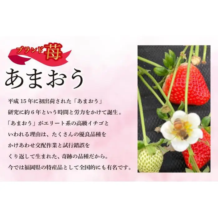 福岡県産あまおう 約270g×2パック 朝採りイチゴ 農家直送 苺専用パッケージでお届け