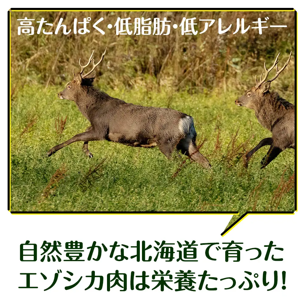 犬 おやつ 鹿肉 冷凍エゾシカ生肉 1kg （200g×５パック）