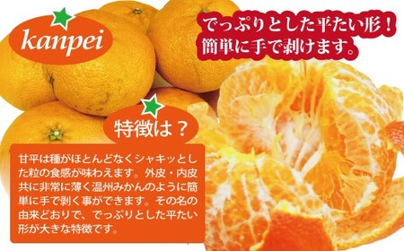 【2027年先行予約】訳あり 甘平 約2kg 家庭用 【2027年2月上旬以降発送予定】 みかん 愛媛 人気 サイズミックス 柑橘 伊予市｜B234