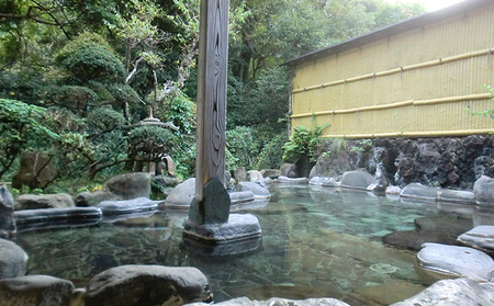 【60,000円分 七滝温泉ホテル 補助券】七滝温泉 河津 河津町 静岡 宿泊券 旅館 旅行 観光 温泉 国内旅行 
