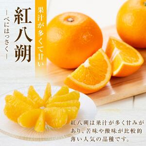 【2027年1月下旬から発送】しまの八朔セット約8kg（Mサイズ程度　約30個　紅八朔と八朔）