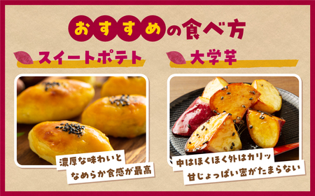 【先行予約】 熟成 さつまいも シルクスイート 5kg 福島県 田村市