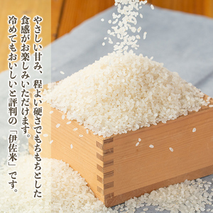 isa559 令和7年産 伊佐のおいしい棚田米 ヒノヒカリ(計18kg・2kg×9袋) 国産 白米 精米 伊佐米 2kg お米 米 ごはん ご飯 ひのひかり 【薩摩美食倶楽部】